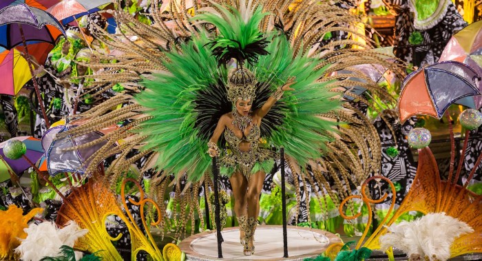 Rio carnival costume diy