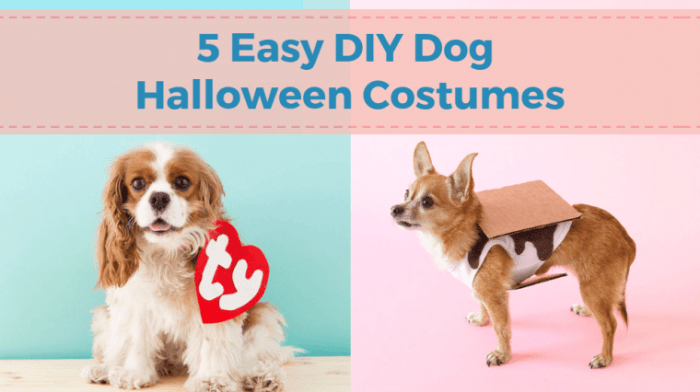 Diy dog halloween costumes