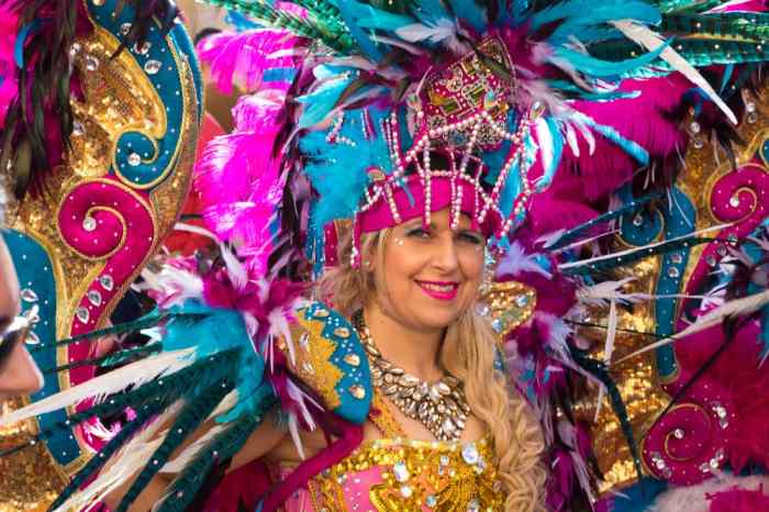 Rio carnival costume diy