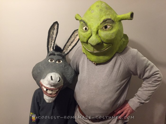 Shrek characters costumes diy